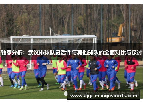 独家分析：武汉排球队灵活性与其他球队的全面对比与探讨