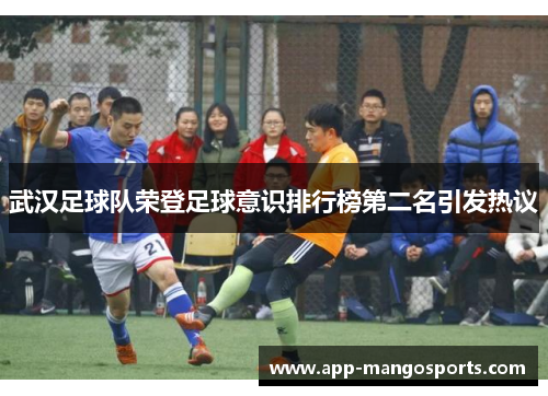 武汉足球队荣登足球意识排行榜第二名引发热议