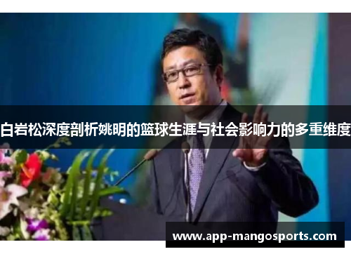 白岩松深度剖析姚明的篮球生涯与社会影响力的多重维度